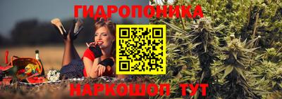 эйфоретик Гусиноозёрск