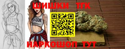 амф Дубна