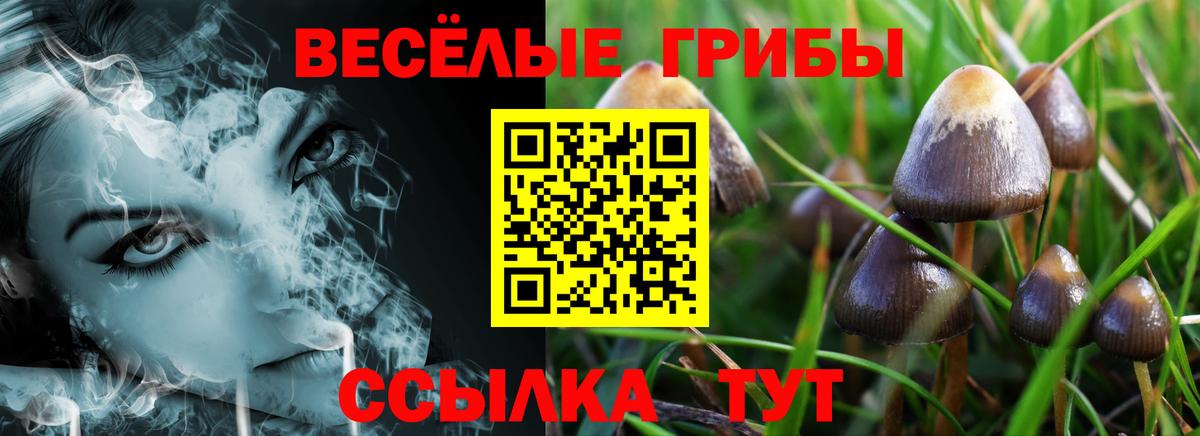 Кохма  Галлюциногенные грибы Magic Shrooms  Вход с VPN 